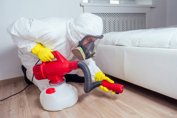 Emergency Pest Control Services in La Blanca, TX